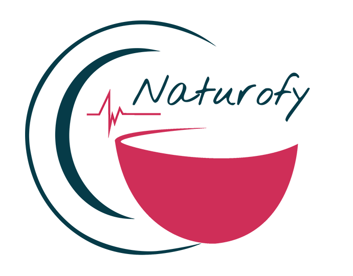 logo naturofy small carre